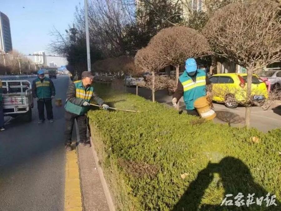 不负好春光 石家庄市园林部门积极开展春季绿化管护