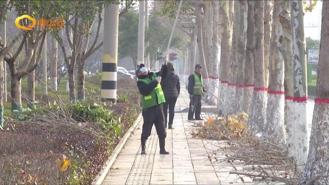 冬季绿化养护 提升城市“颜值”