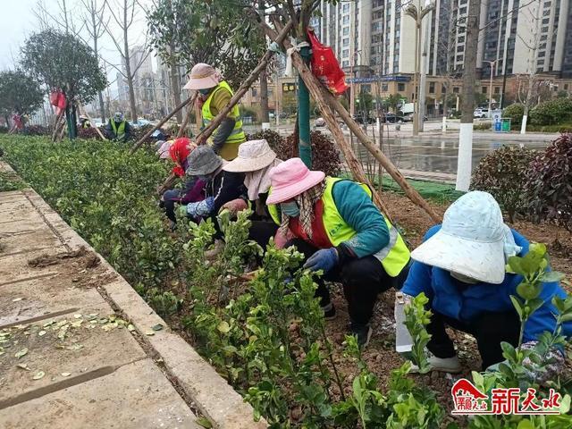 不负春光好时节天水园林绿化正当时