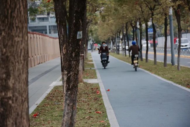 龙华区环观中路（观平路至平安路）大变样！