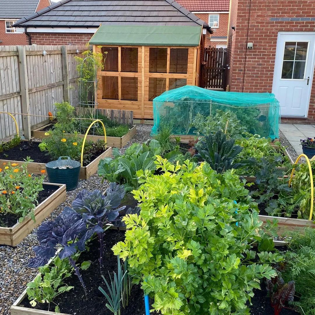 生活主题花园——远离城市的喧嚣,品一杯清茶,闲坐一下午 生活主题花园——远离城市的喧嚣,品一杯清茶,闲坐一下午