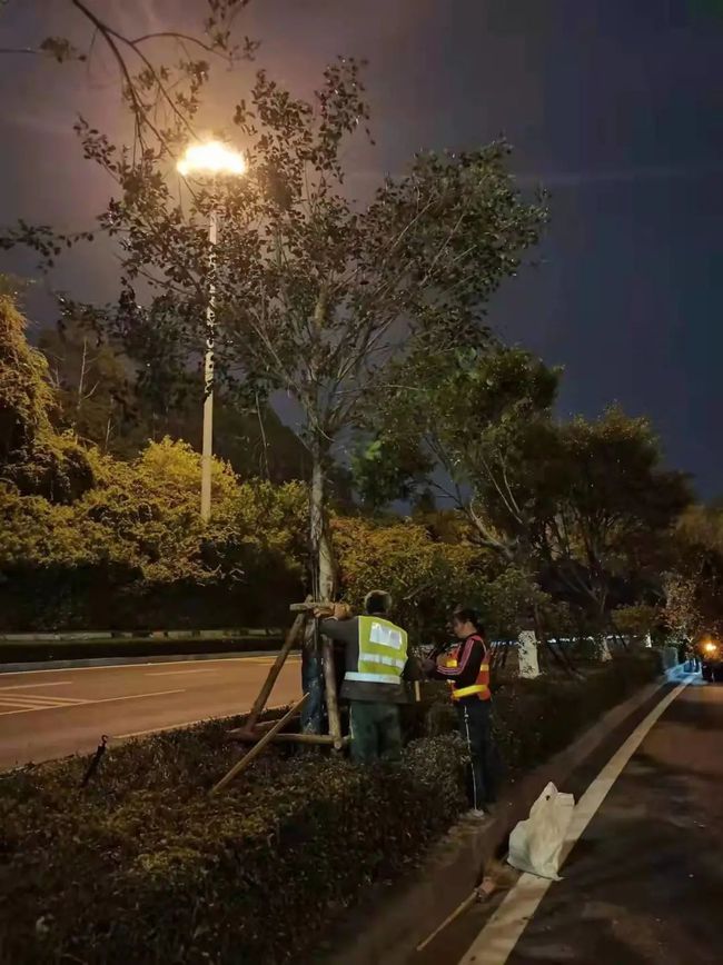 这些公路绿化的“主心骨”，你都认识吗？#一大波美图呈现#