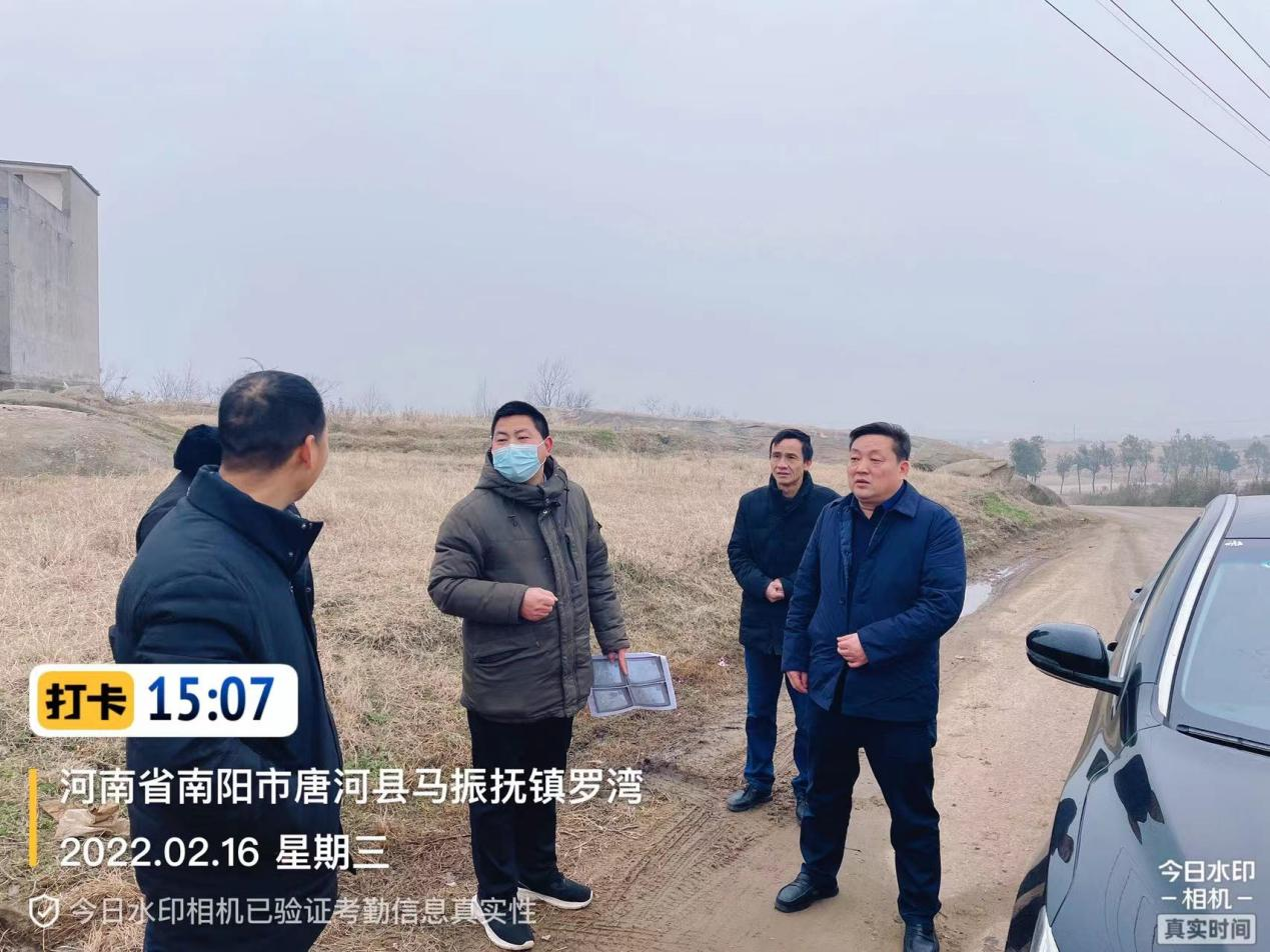 唐河县马振抚镇：多举措掀起全域绿化热潮