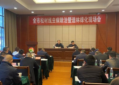鹰潭市召开松材线虫病除治暨造林绿化现场会
