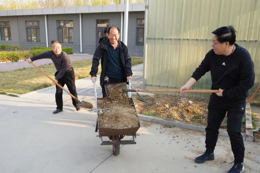 美化环境 绿化庭院 净化生态吴桥法院开展环境整治主题活动