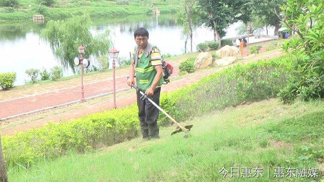 绿化修剪正当时 提升绿道新“颜值”