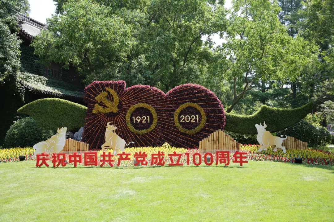 庆祝建党100周年，嘉定打造9000平方米花坛花境