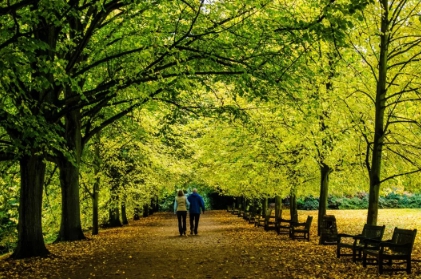 景观绿化的几个要素