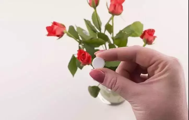 秋天养花，一壶水一片药，浇盆里白根直冒，叶子浓绿