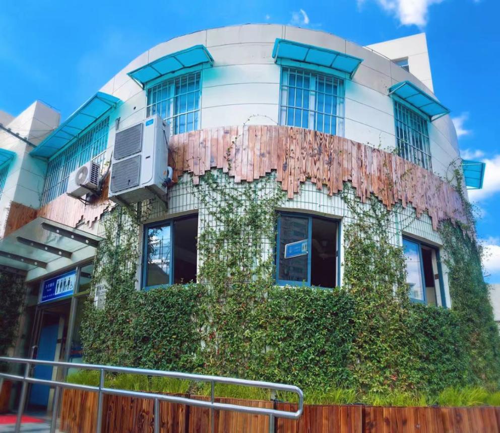 公园城市建设中的立体绿化，你知道哪些