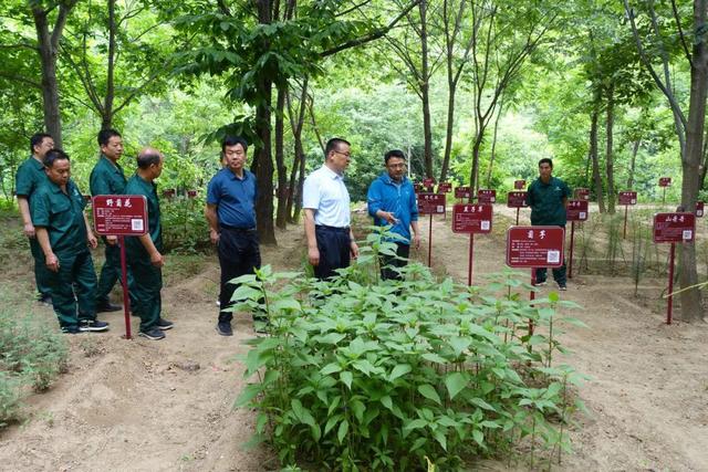 山西省中条山国有林管理局着力从七个方面入手推进工作见成效