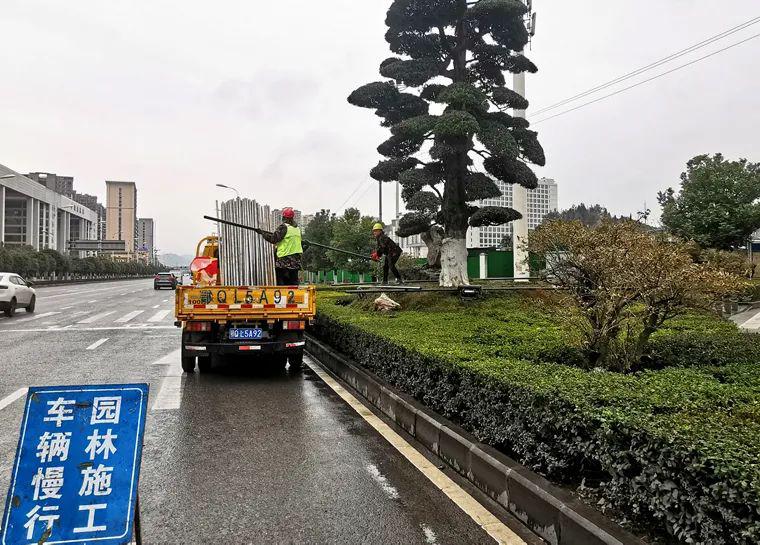 一年之计在于春，园林绿化管护忙