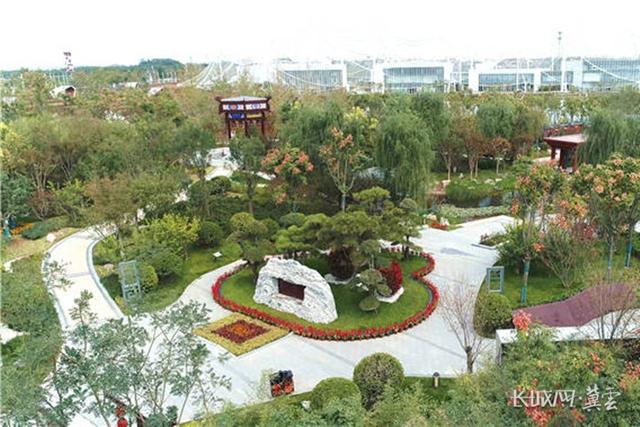 平均植被盖度突破 40% 邯郸市圆满完成今年造林绿化工作