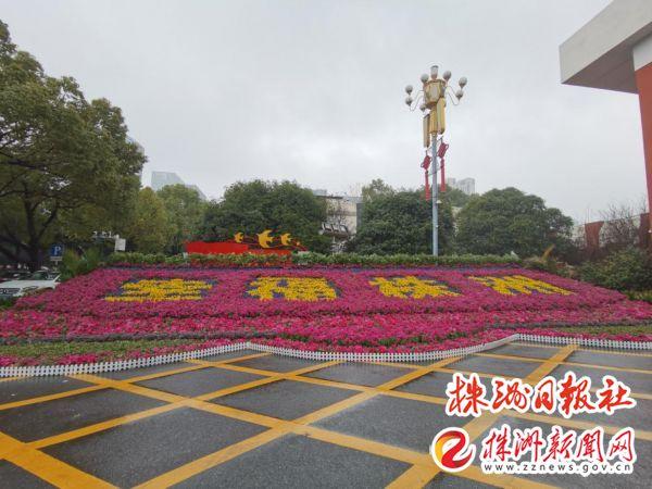 百万鲜花灯笼 园林部门营造浓浓年味儿