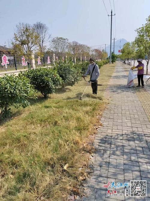 武宁县工业园区：加强绿化清理维护 提升园区整体“颜值”