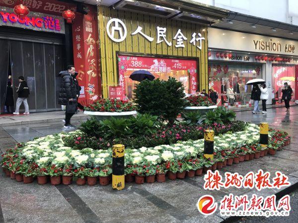 芦淞城管：花团锦簇，让年味儿浓起来