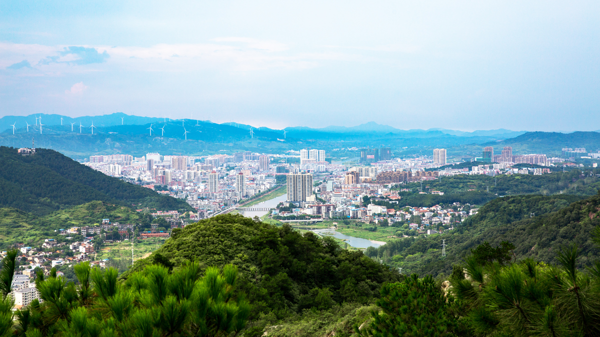 让森林进城 让景观进市！湖北大悟打造城市绿化景观