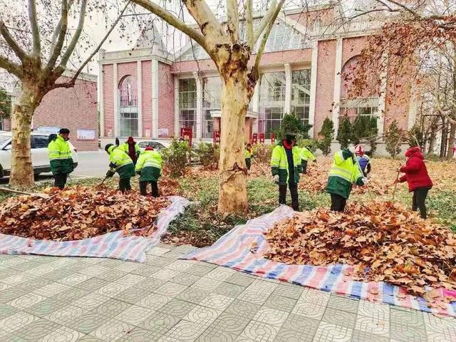 突出精细管护 园林绿化“绣”出成华风采