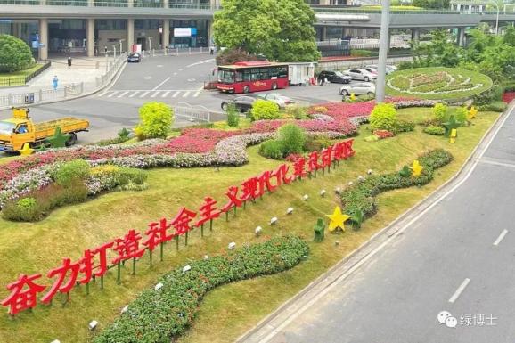 “靓”陆家嘴面貌 ，“尽”重点区域职责 | 人民城市 · 绿行者