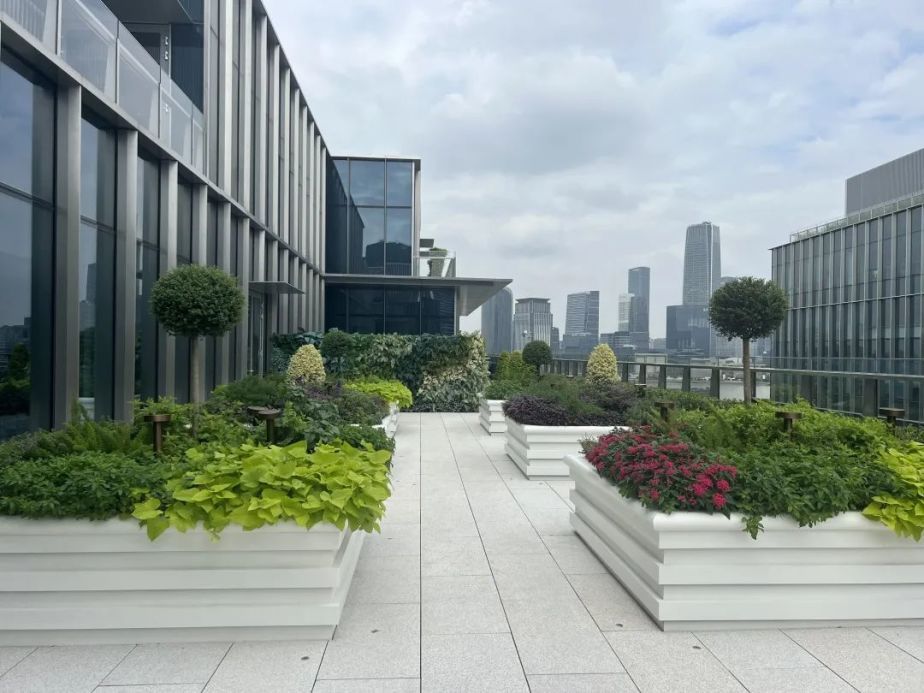 前滩着力构筑城市生态新景观，立体绿化融入时尚地标丨品质新生活