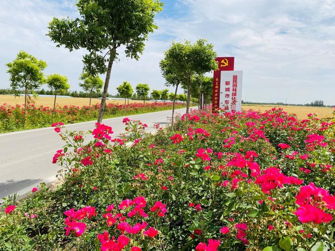 “路路风景”！东昌府区侯营镇路域环境再提升