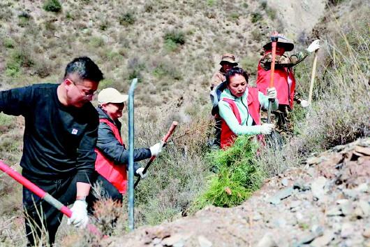迭部白龙江沿岸百里风情线万亩绿化生态修复工程全面启动