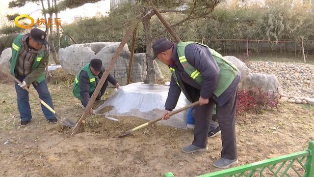 冬季绿化养护 提升城市“颜值”