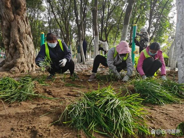 南阳中心城区再添新景观：四个游园同时开工！