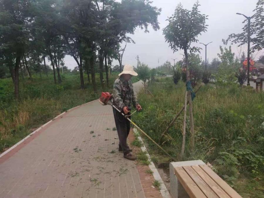 国有开封市林场对夷园花草苗木实施精心养护提高绿化管护水平 国有开封市林场对夷园花草苗木实施精心养护提高绿化管护水平