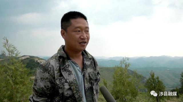 涉县国土绿化试点示范项目苗木栽植工作完成