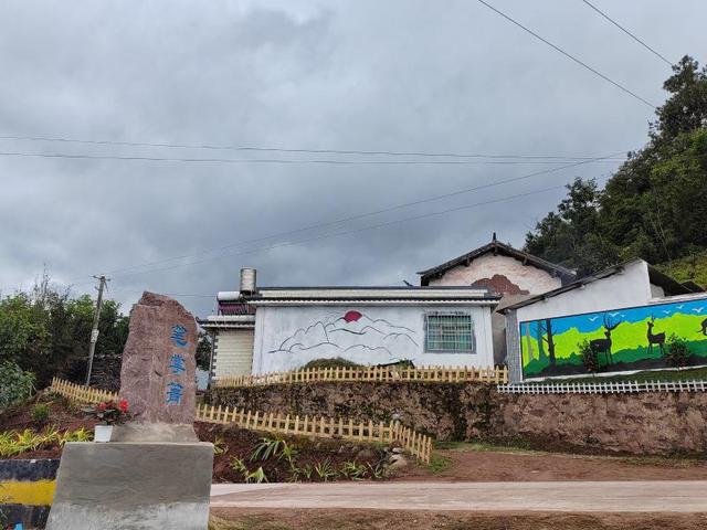  南华五街镇：村里来了特殊的“绿化队”