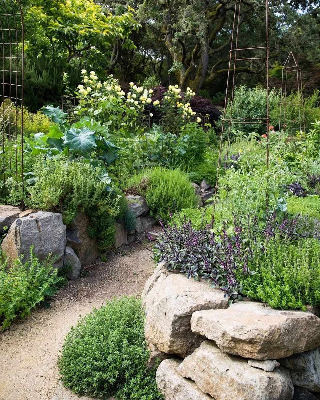 家庭式花园——采摘蔬菜、水果以及各种作物,那真是太有成就感了 家庭式花园——采摘蔬菜、水果以及各种作物,那真是太有成就感了