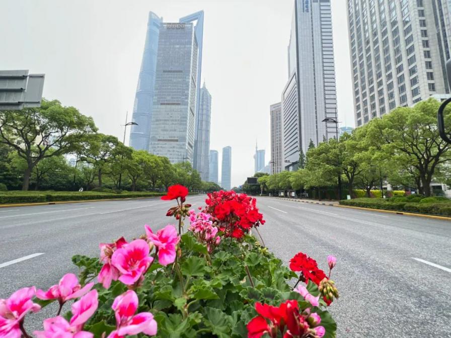 浦东打造靓丽绿化，助力复工复产(附美图)