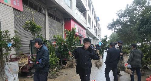 祖师殿镇：植绿正当时苗木购销旺