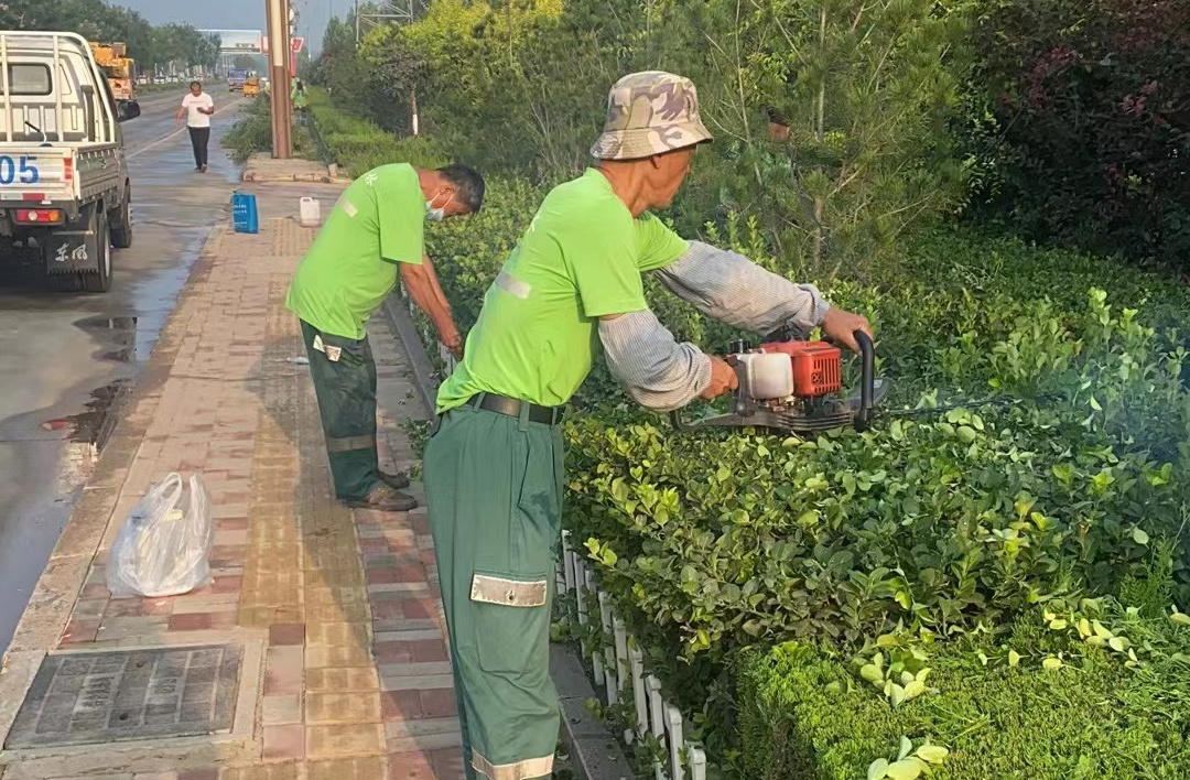 衡水安平：做好园林绿化养护 助力国家园林城市创建