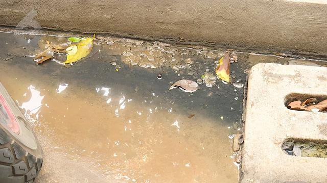 “绿化树都淹死了”占道经营、污水乱倒老板不以为意 城管一到立马变脸