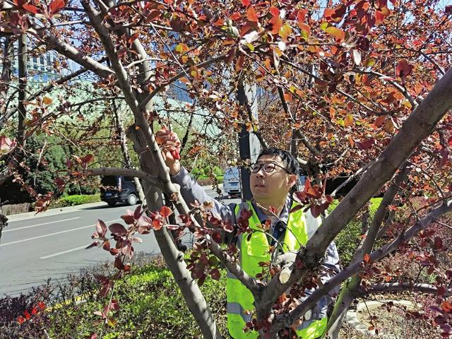 太原龙城大街一路风景如何来？