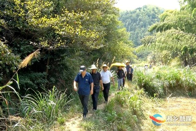 国家林草局到湘乡调研野生动植物执法和野生动物致害防控工作