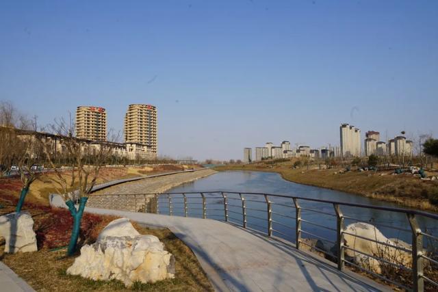 强力推进滏阳河景观节点建设，打造生态修复“丛台样板”——刘丹区长实地调研滏阳河生态修复工作