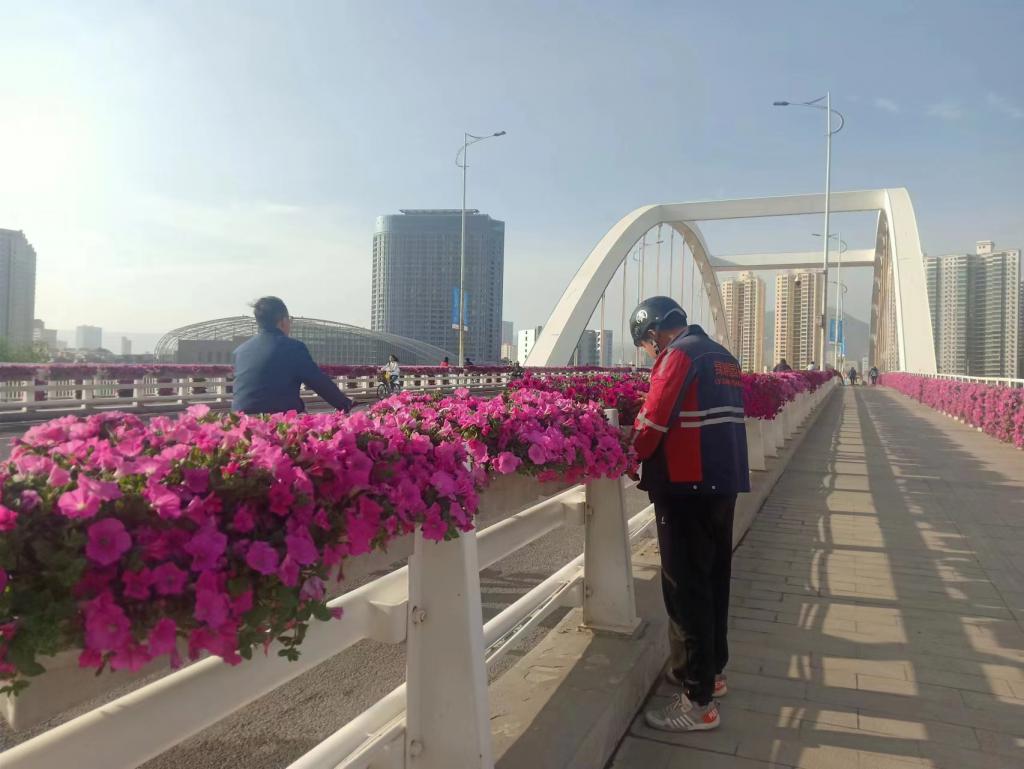 兰州市全力做好兰马道路沿线绿化美化工作