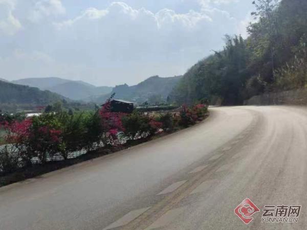 云南孟连：一路一风景