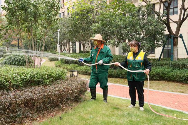 一场银杏果“雨”， 让居民用实际行动维护小区绿化环境