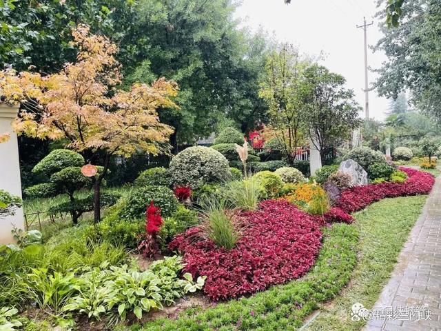 三门峡：13.7万盆鲜花装扮城市迎“双节”