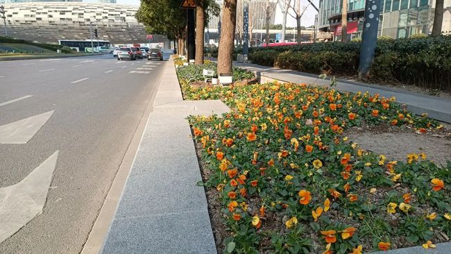 “彩蛋”灯光璀璨夺目！杨浦这些景观上新啦