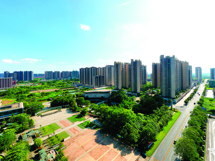 今年来绿化改造近4万平方米