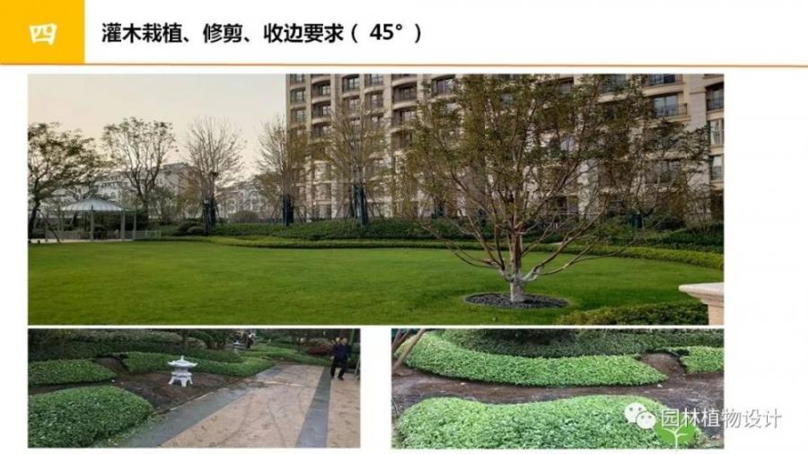 绿化设计后期【景观品质保证措施及规范标准】