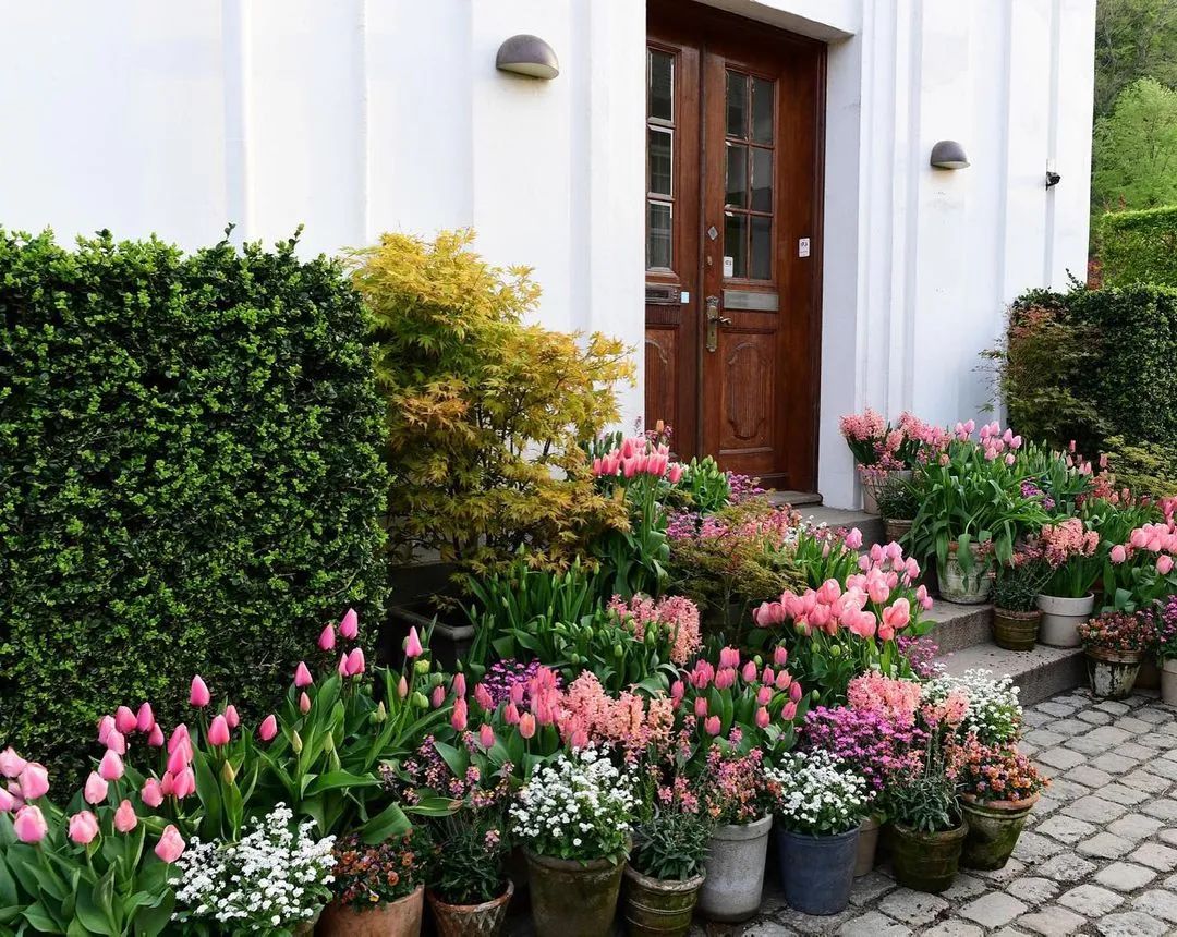 生活主题花园——远离城市的喧嚣,品一杯清茶,闲坐一下午 生活主题花园——远离城市的喧嚣,品一杯清茶,闲坐一下午