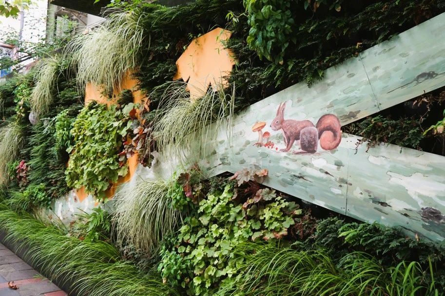 推进静安区立体绿化，在胶州路上赏“绿水青山”