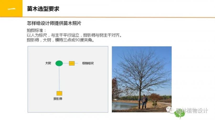 绿化设计后期【景观品质保证措施及规范标准】