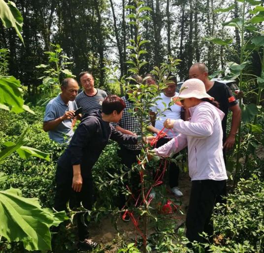 【身边的榜样|两优一先风采录】付晓红：扎根林区守初心 执着奉献担使命
